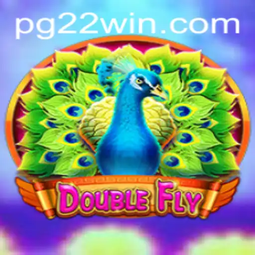 DoubleFly: An Exciting Journey into the World of Virtual Competition